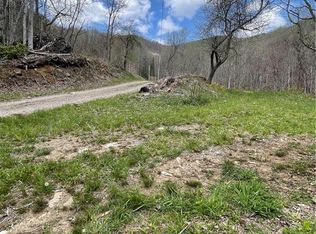 Haney Creek Rd, Burnsville, NC 28714