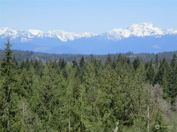 0 Tract C3 Johnson Ridge Road, Belfair, WA 98528