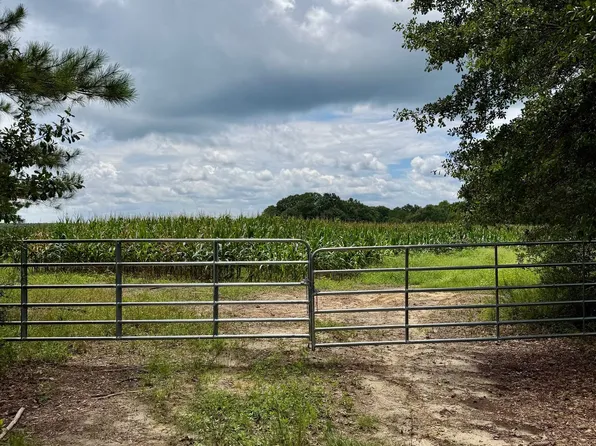 37000 Hesters Store Rd, Red Level, AL 36474
