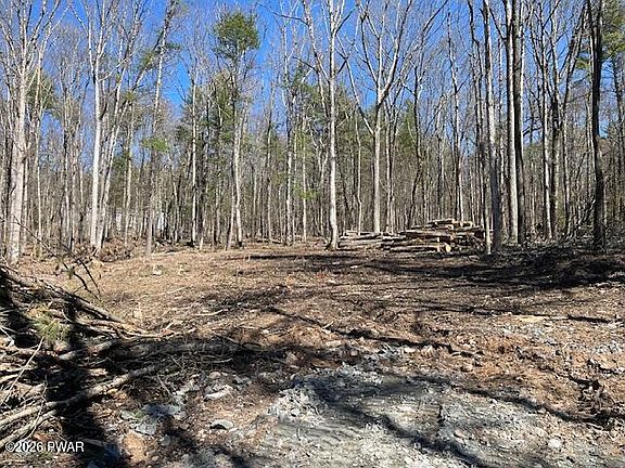 5th image of 130 Creek Rd