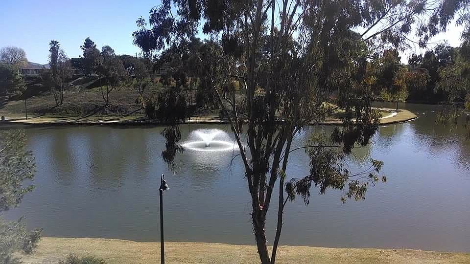 View from backdeck