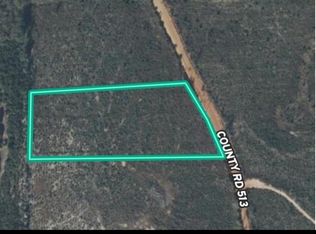 1554 County Road 513, Elba, AL 36323