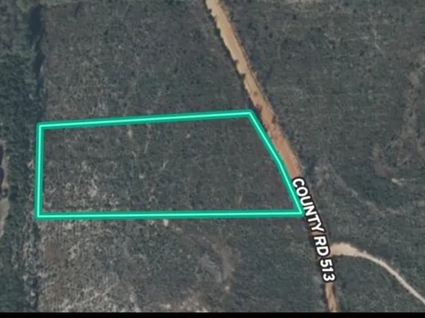 1554 County Road 513, Elba, AL 36323