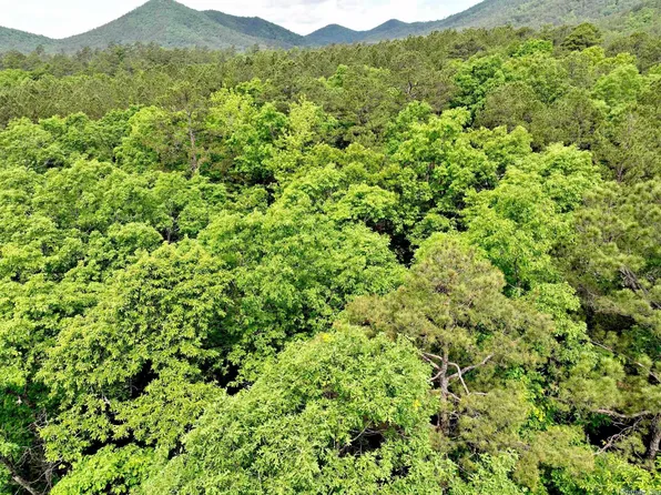 Polk St N #632, Mena, AR 71953