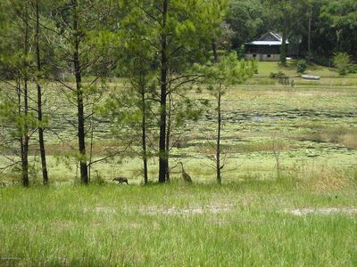 419 S Carolina St, Hawthorne, FL, 32640