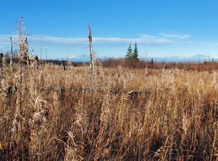 54749 Weldin Ave, Ninilchik, AK 99639