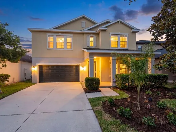14256 Blue Dasher Dr, Riverview, FL 33569