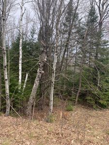 Sampson Rd, Three Lakes, WI, 54562