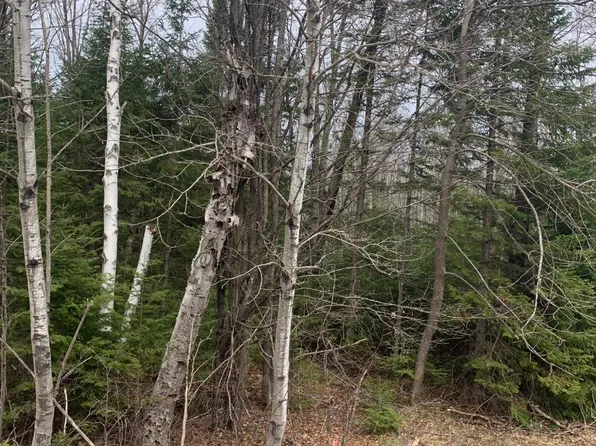 Sampson Rd, Three Lakes, WI 54562