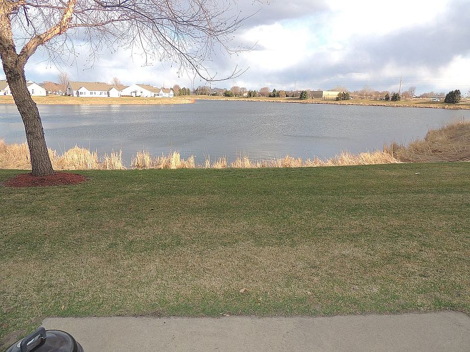 Pond view