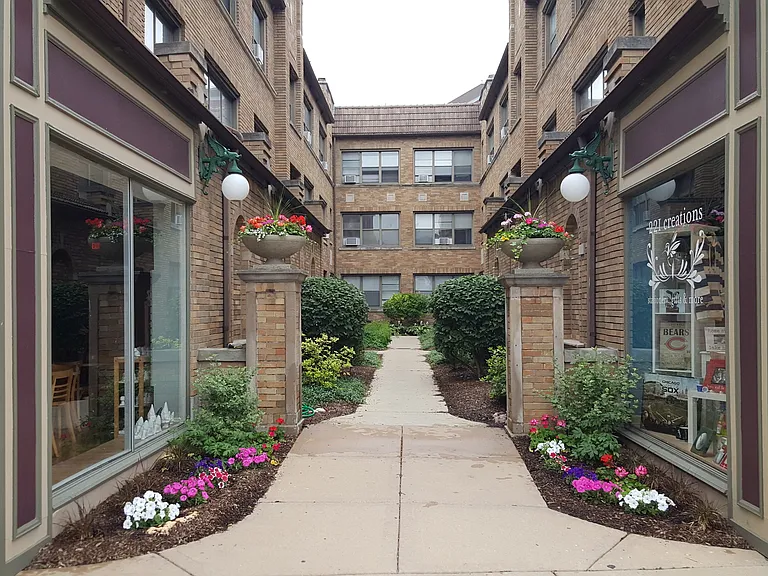 Curtiss — Photo 31