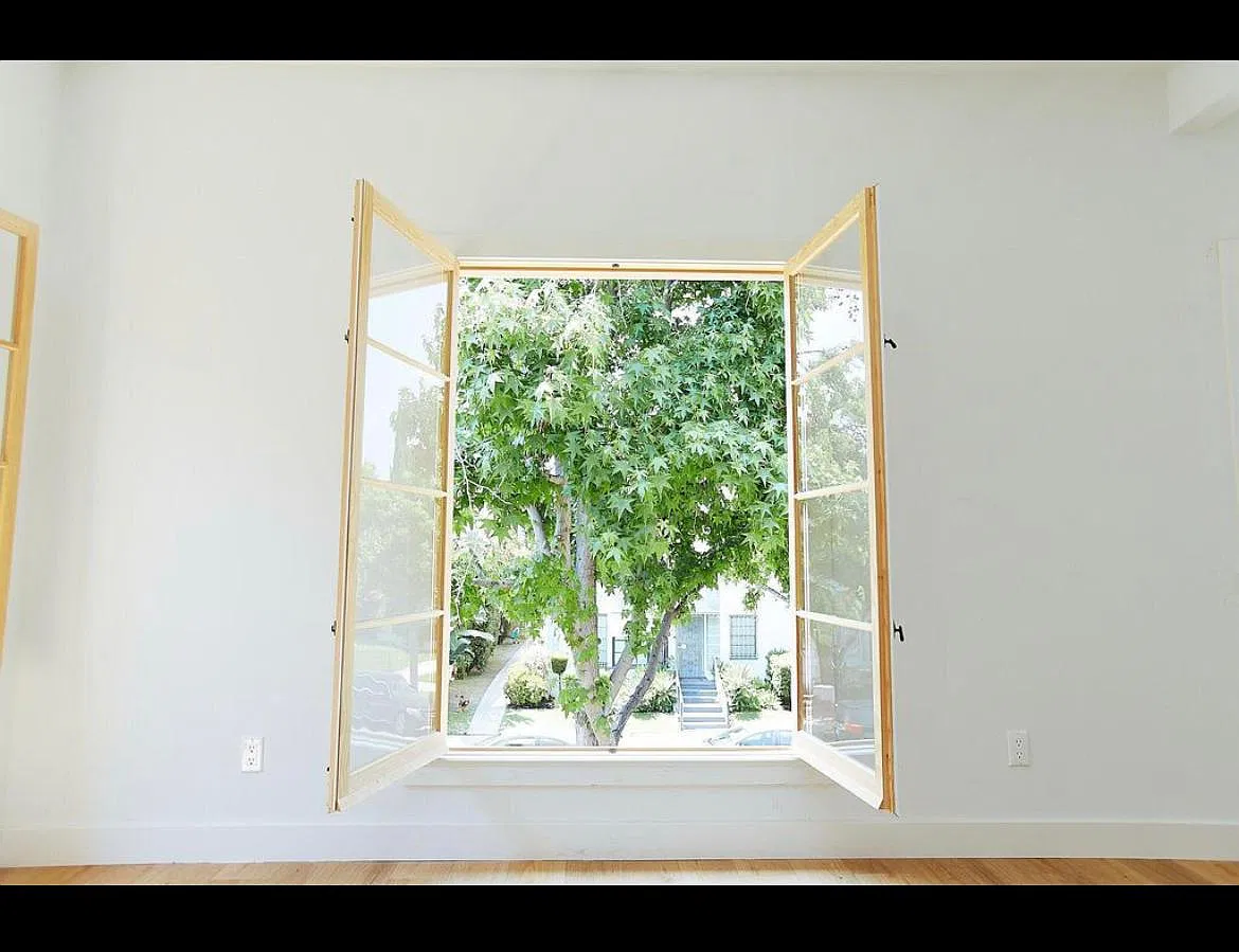 1 bed, 1000 sqft, $3,750 — Photo 4