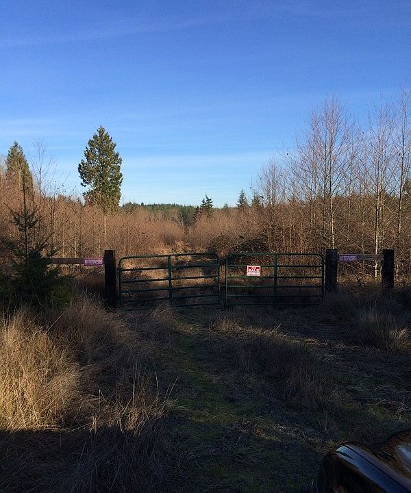 2nd image of 143 Violet Ln