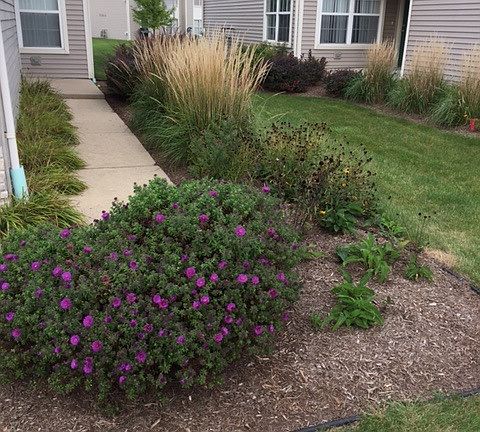 Beautiful landscaping along main side entrance