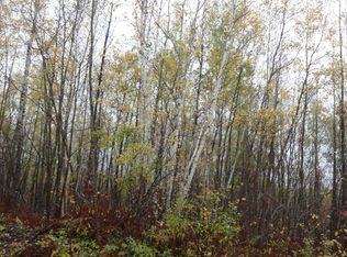 On West End Dr, Merrill, WI 54452