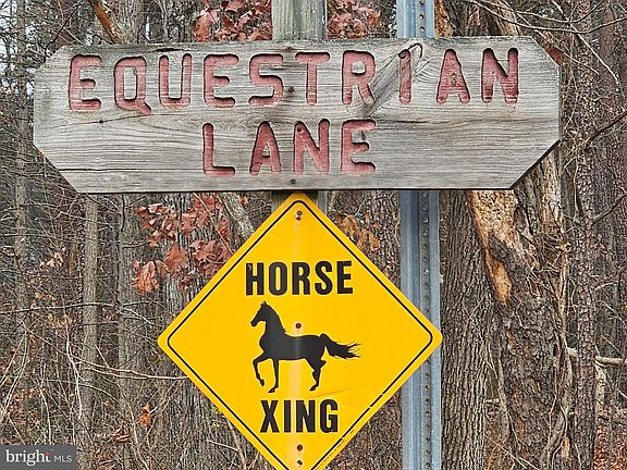 2nd image of 54 Equestrian Ln