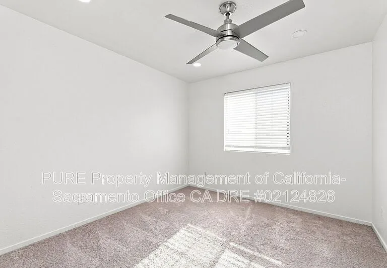 8742 Weeping Birch Ln — Photo 16