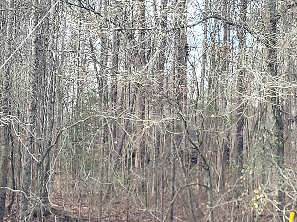 1st image of 955 Joe Stephens Rd