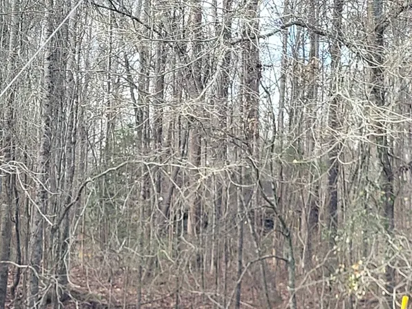 955 Joe Stephens Rd, Franklin, GA 30217