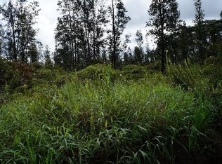 LOT 15 Lot 15, Volcano, HI 96785