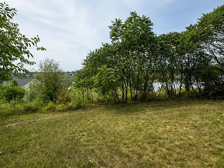 1465 Roy Rd — Photo 22