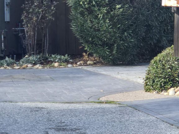 4th image of 5941 Sterling Oaks Dr #2