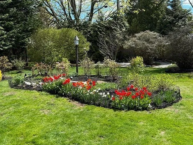 29 Fenner Ave — Photo 42