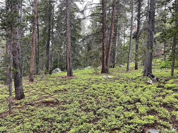 000 Steuart Road, Idaho Springs, CO 80452