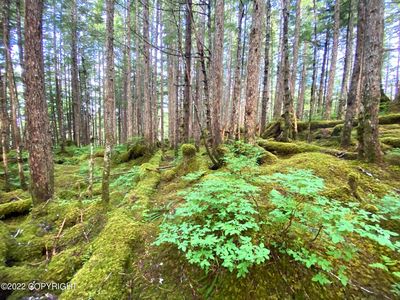0 Council Ave, Cordova, AK, 99574