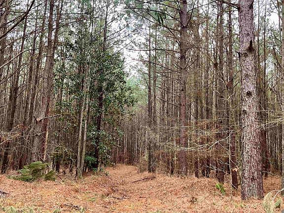 3rd image of 10078 Old Port Gibson Rd