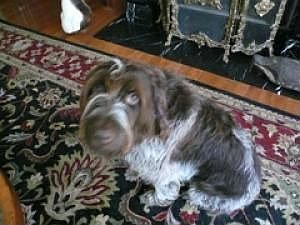 Pet Friendly Condos! Call about restrictions.