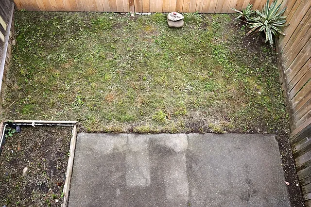 South facing patio and backyard