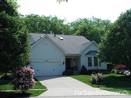 Summer roses in bloom outside the house