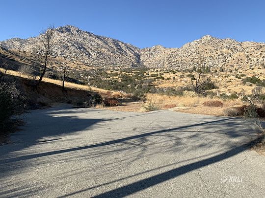 2nd image of Bristlecone Dr