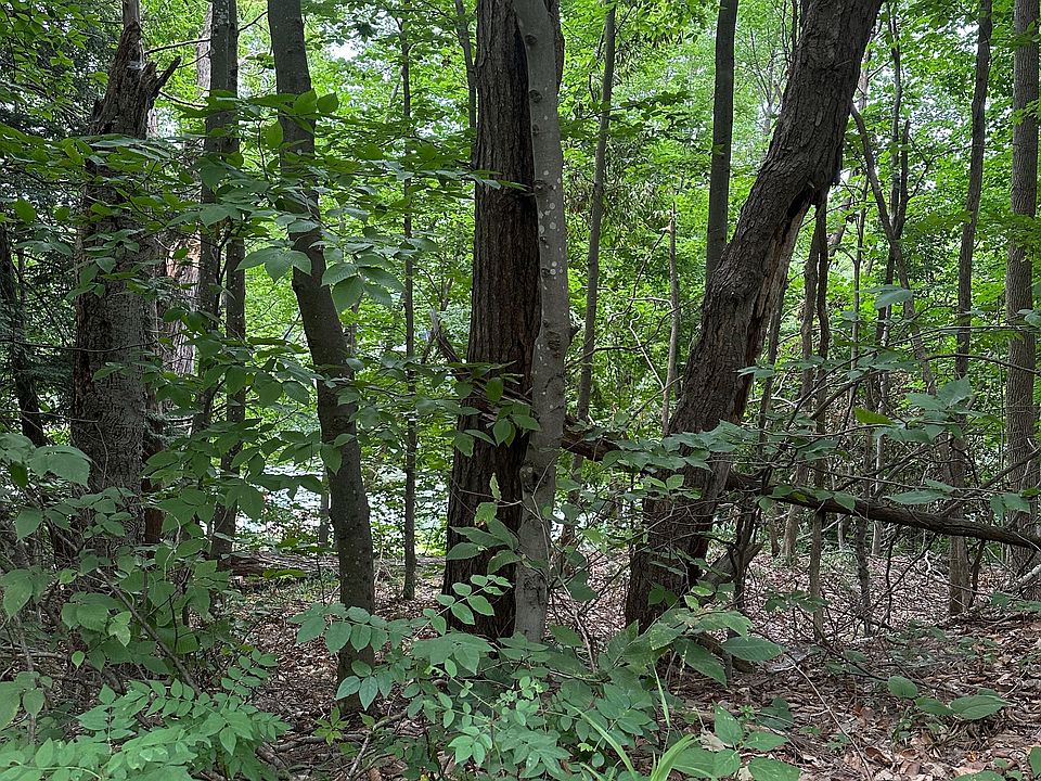 2nd image of 0 Silver Rock Ln