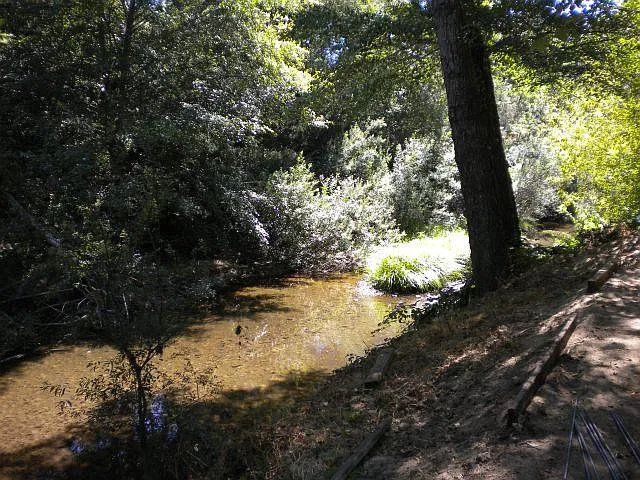 Lower common area. San Lorenzo River.