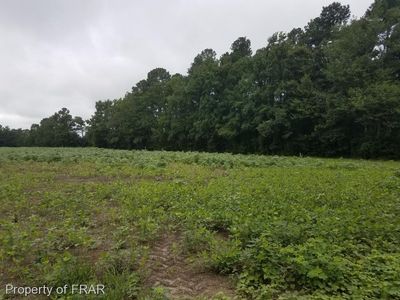 Gaddys Rd, Orrum, NC, 28369