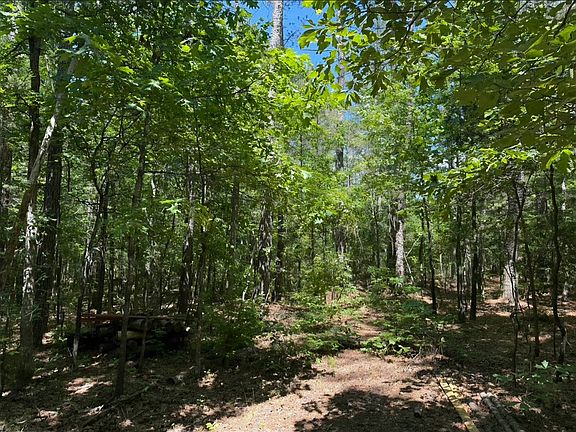 4th image of 0 Buck Branch Rd