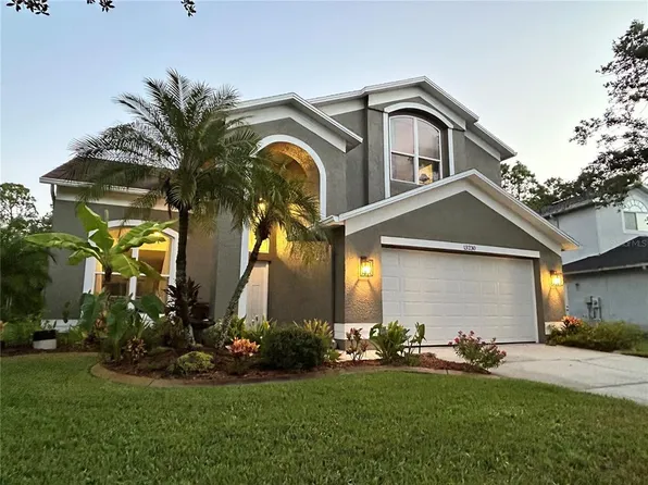 13230 Royal George Ave, Odessa, FL 33556