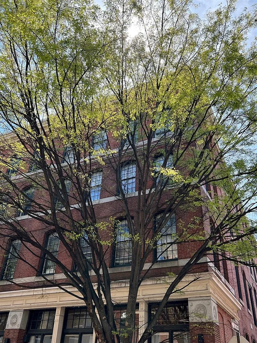 Pfeiffer House — Photo 2