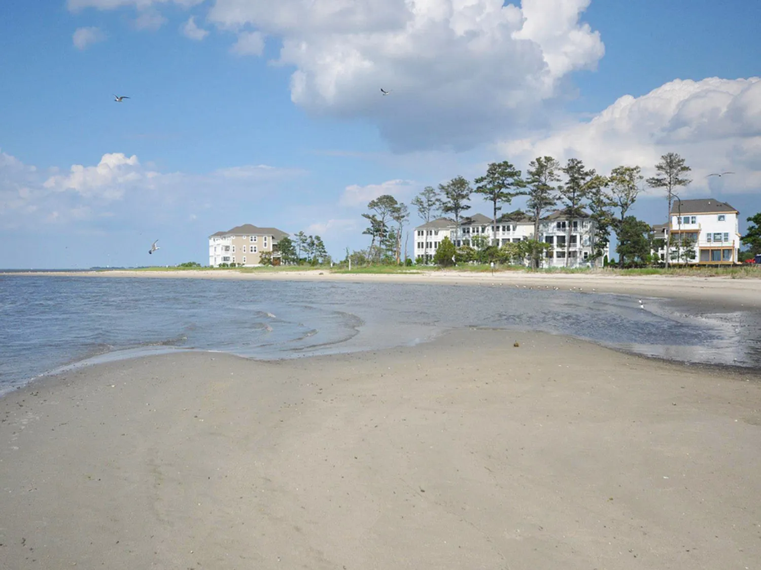 Park View Dr, Dagsboro — Photo 2