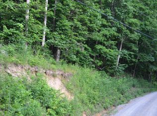 Tbd Dunlukin Dr, Spring City, TN 37381