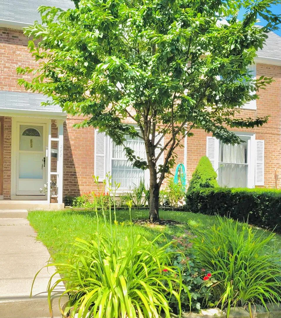 288 Graceland Ave photo 1