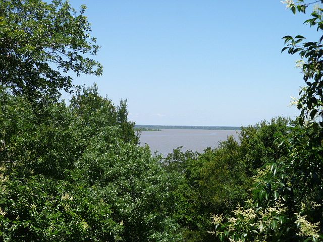 1st image of 266 Mohon Dr