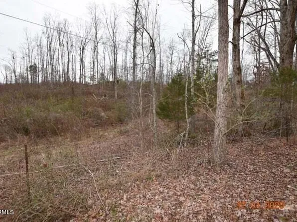 LOT 4 Maple Grove Rd, Ten Mile, TN 37880