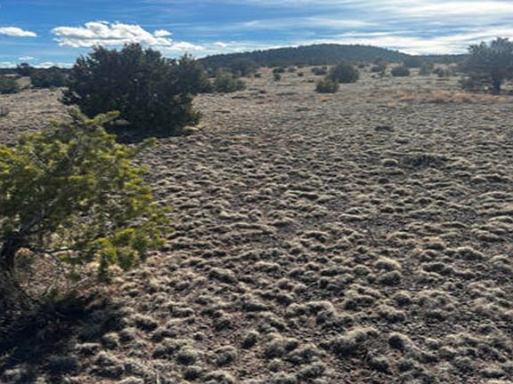 4th image of Xx Powerline Rd