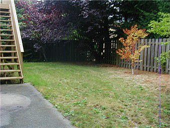 Showings or info 7 days a week - info@metrorgi.com or 425-780-7878 to schedule