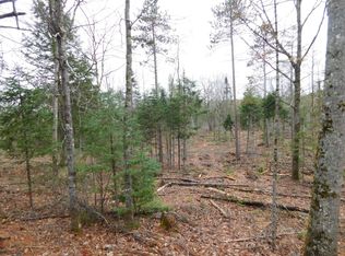 2 Spring Bridge Rd, Greenbush, ME 04418