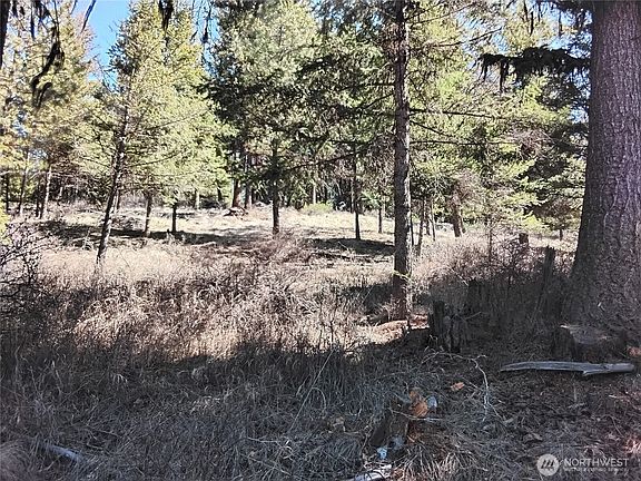 2nd image of 0 Cougar Loop Drive