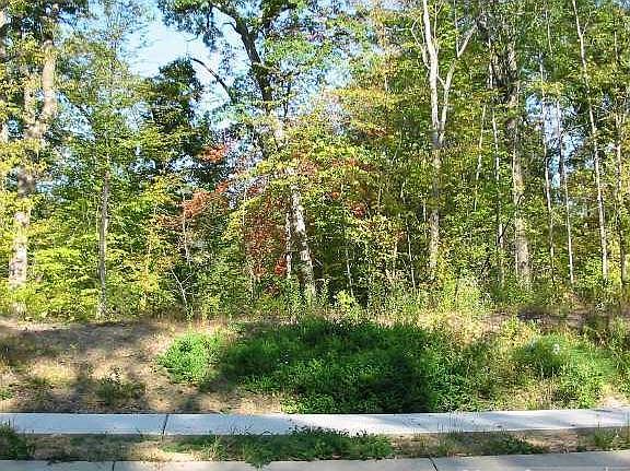 4th image of 29394 Hidden Forest Blvd